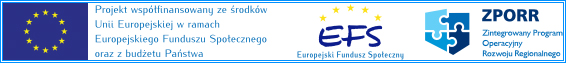 spawcity_baner_ue