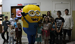 Pokazy