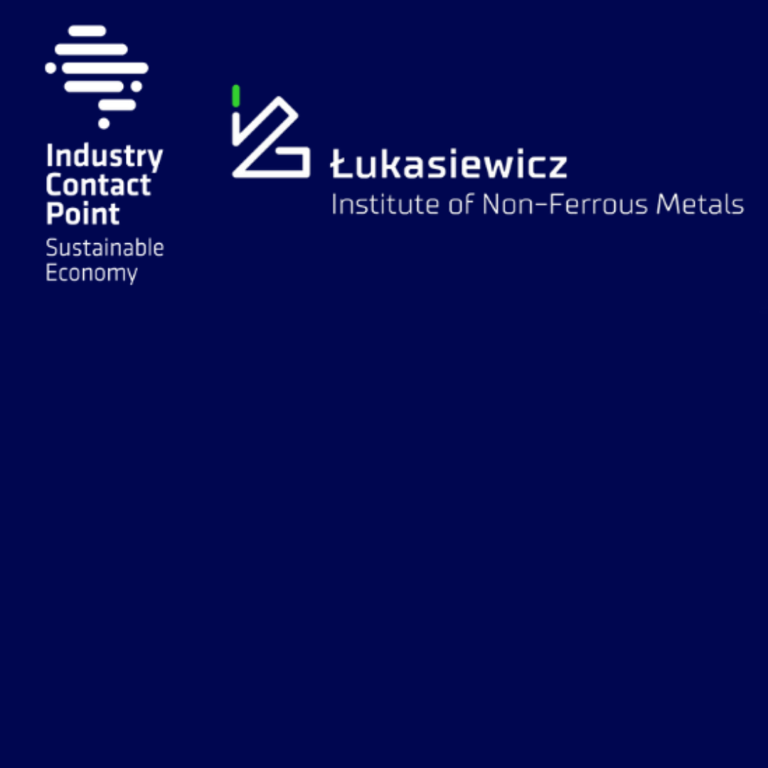 Logo Instytutu i Branżowych Punktów Kontaktowych