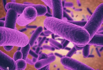 grupa badawcza immunoterapii (11)