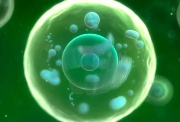 grupa badawcza immunoterapii (19)