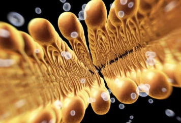 grupa badawcza immunoterapii 22