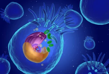 grupa badawcza immunoterapii 24