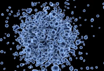 grupa-badawcza-immunoterapii-6