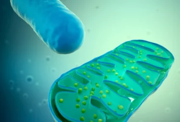 grupa badawcza immunoterapii21