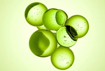 shutterstock_2593482831